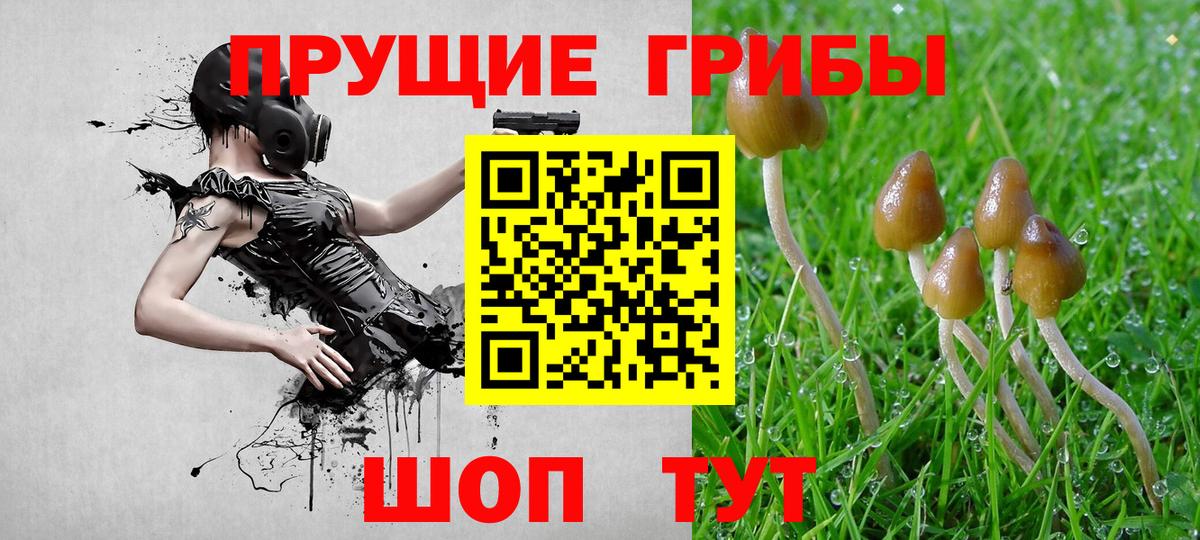 Ишим  Галлюциногенные грибы мицелий  Вход с VPN 